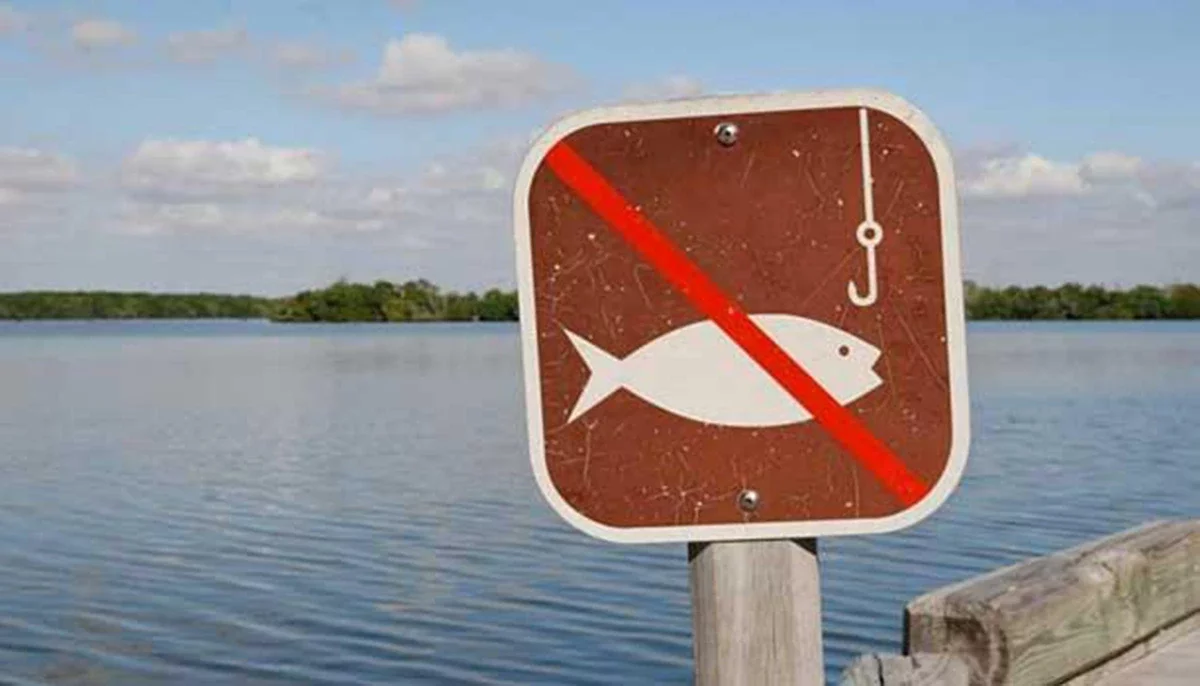 З 1 квітня починає діяти заборона на вилов риби в Україні: що потрібно знати рибалкам