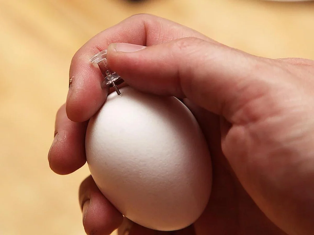 Чому яйця потрібно проколювати перед варінням: як працює цей геніальний трюк