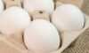 Як перевірити свіжість яєць лише за 10 секунд: ознаки, що підтверджують якість