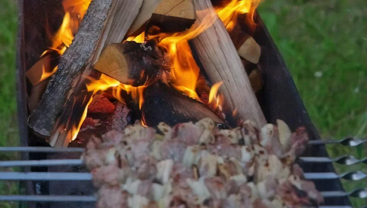 На яких дровах найкраще смажити шашлик: забезпечать вдосталь жару та посилять приємний смак