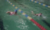 Вихованці кам’янської ДЮСШ№5 здобули 76 медалей на чемпіонаті міста з плавання