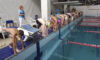 У Кам’янському відбувся літній Кубок «Swim Sharks» з плавання